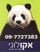 להמשך קריאה - ריח רע מפיר האשפה? פתרון חדשני שמטהר את האויר ומונע הפצת מחלות!