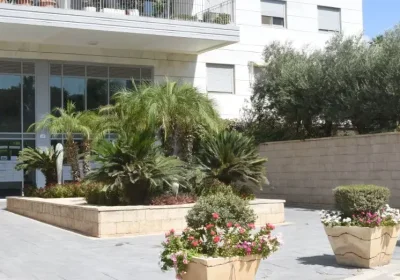 קישור אל תמונה גדולה - 