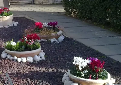 קישור אל תמונה גדולה - 