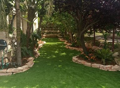 קישור אל תמונה גדולה - 