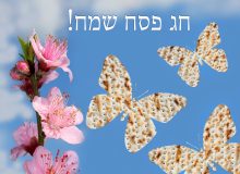 להמשך קריאה - חג אביב שמח מצוות פורטל בתים (וקצת עדכונים)
