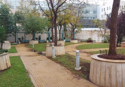 קישור אל תמונה גדולה - 