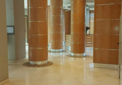 קישור אל תמונה גדולה - 