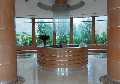 קישור אל תמונה גדולה - 