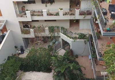 קישור אל תמונה גדולה - 