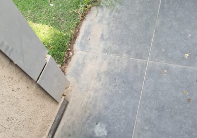 קישור אל תמונה גדולה -