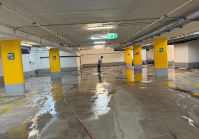 קישור אל תמונה גדולה - 