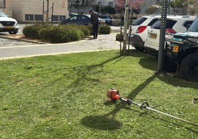 קישור אל תמונה גדולה - 