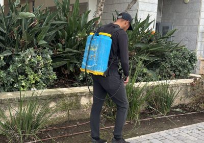 קישור אל תמונה גדולה - 