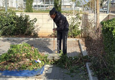 קישור אל תמונה גדולה - 