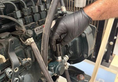 קישור אל תמונה גדולה - 