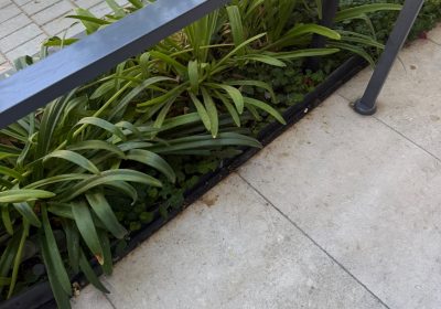 קישור אל תמונה גדולה -